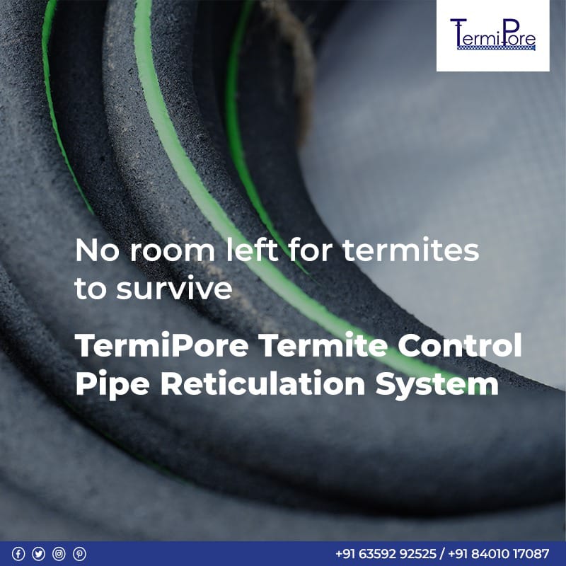 Outsmart termites. Act before they inflict any damage, secure your home or office space in a simple and cost-effective way. Install TermiPore’s Anti